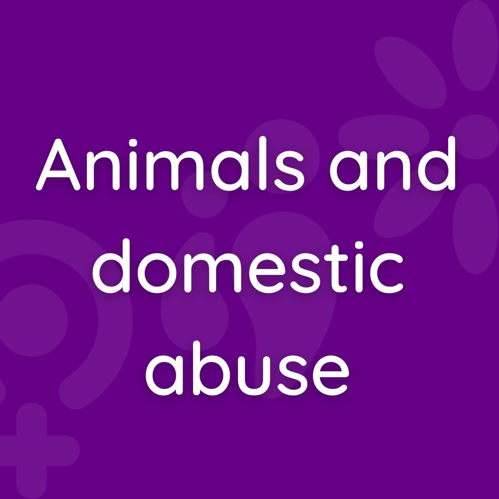 Animals and domestic abuse